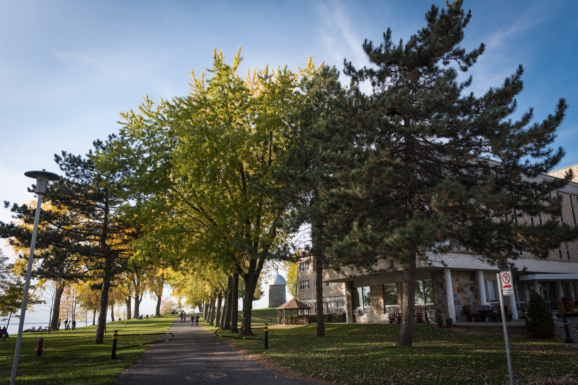 023-ILE_ST-BERNARD-LR