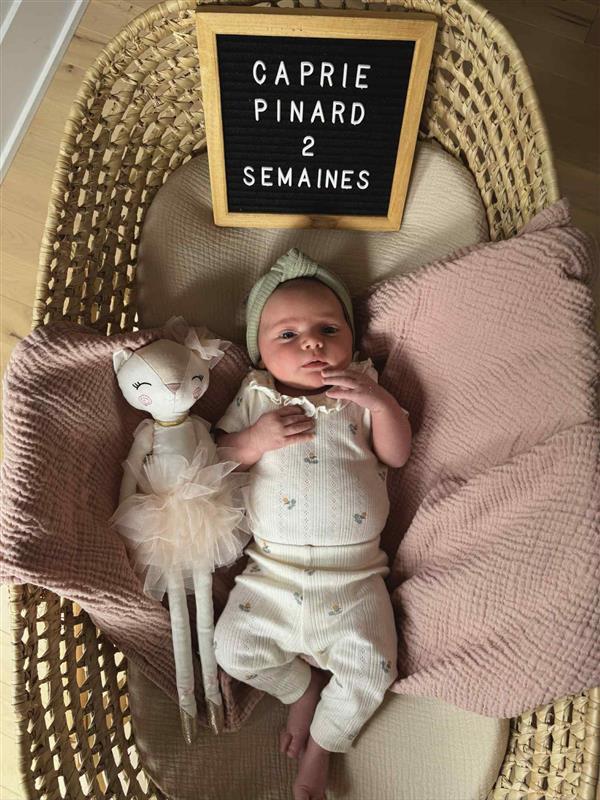 9ab2de28-1d63-4adc-9696-abc48680216b